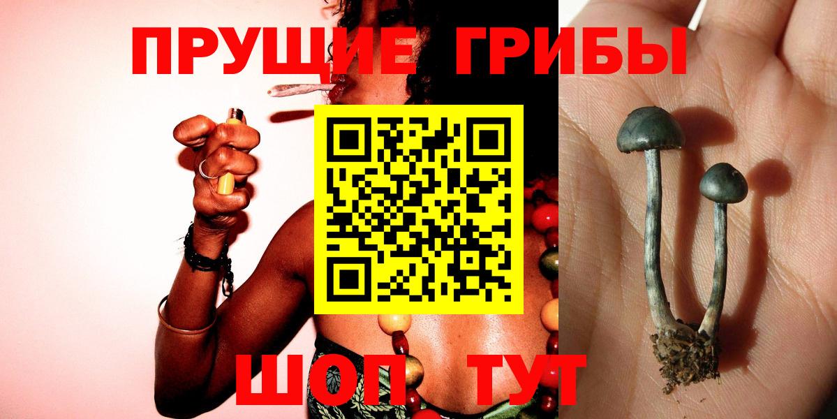 Псилоцибиновые грибы мухоморы Новороссийск